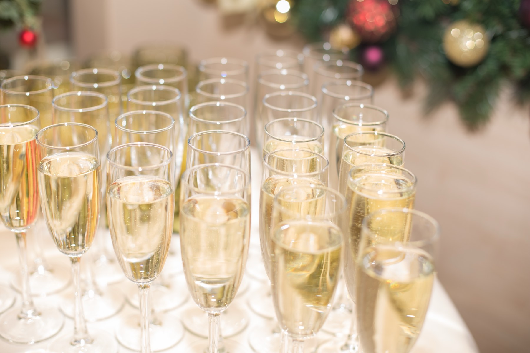 Rows of champagne flutes poured and ready in front of a decorated Christmas tree at a holiday party